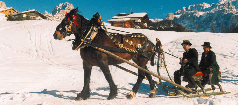 Hofer Norbert