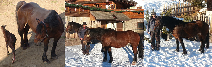 Molli, Pubi, Mirage